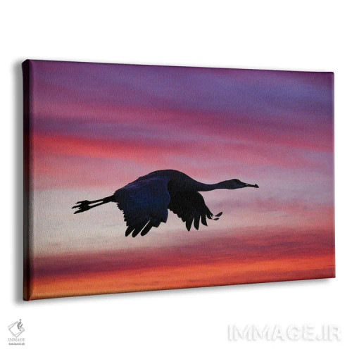 تابلو درنای سندهیل در حال پرواز در غروب، پناهگاه حیات وحش بوسکه دل آپاچی، نیومکزیکو اثر آدام جونز - نمای پرسپکتیو محصول