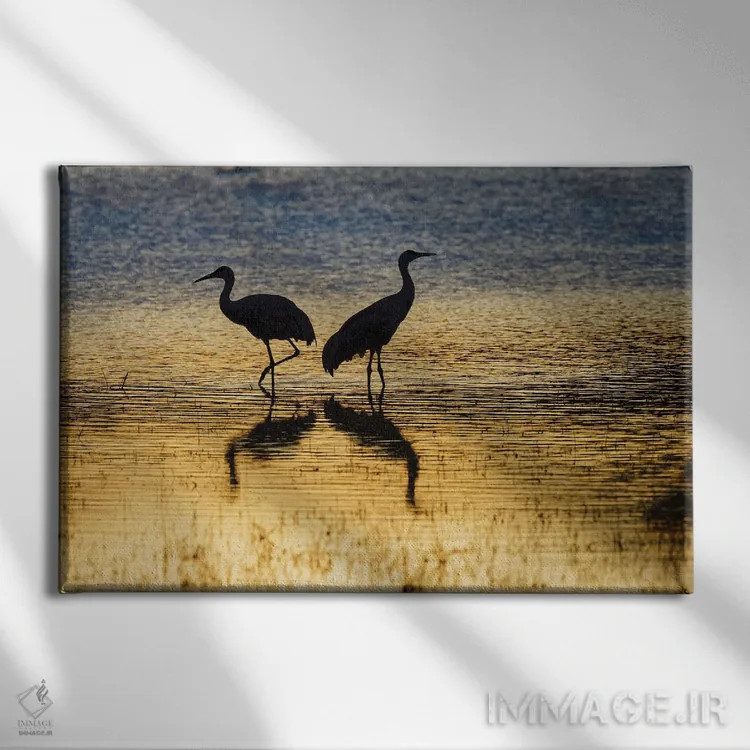 تابلو گروه درناهای سندهیل در غروب، پناهگاه حیات وحش بوسکه دل آپاچی، نیومکزیکو اثر آدام جونز - نمای روبهرو روی دیوار