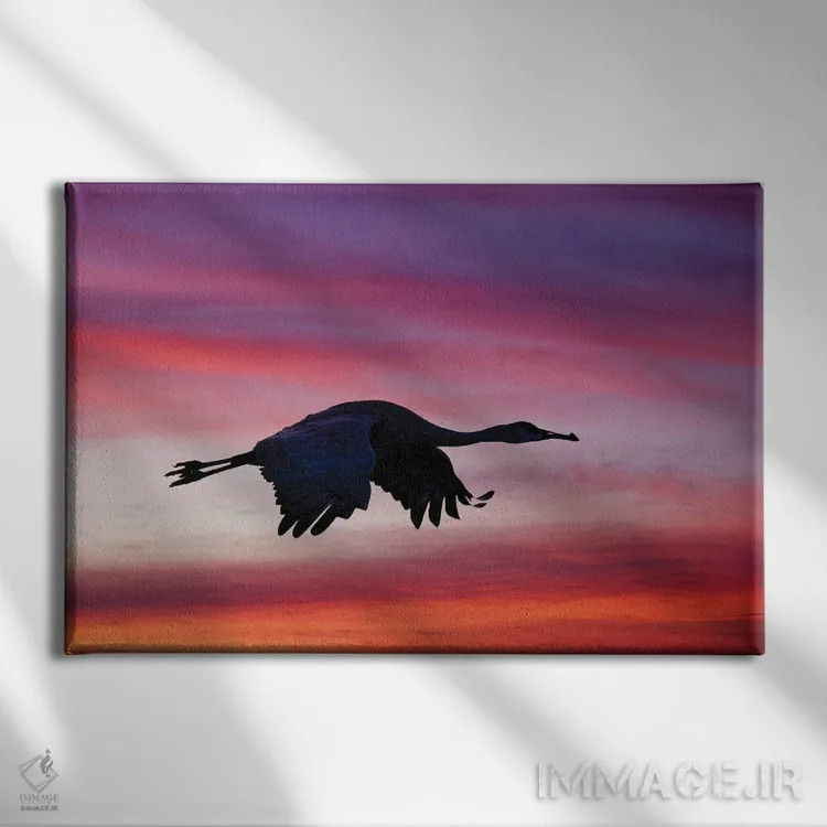 تابلو درنای سندهیل در حال پرواز در غروب، پناهگاه حیات وحش بوسکه دل آپاچی، نیومکزیکو اثر آدام جونز - نمای روبهرو روی دیوار