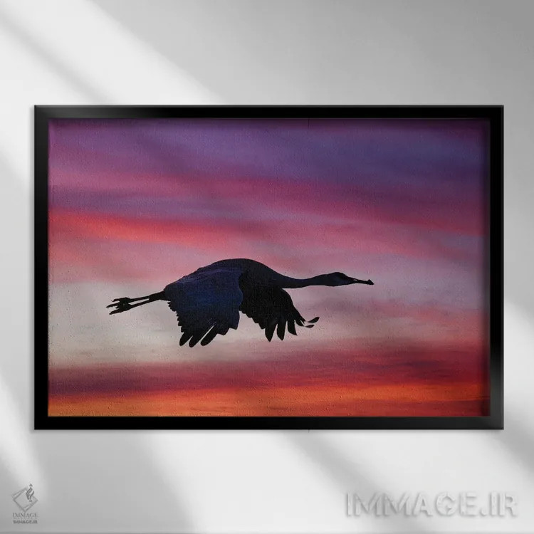 تابلو درنای سندهیل در حال پرواز در غروب، پناهگاه حیات وحش بوسکه دل آپاچی، نیومکزیکو اثر آدام جونز - نمای قابدار مشکی