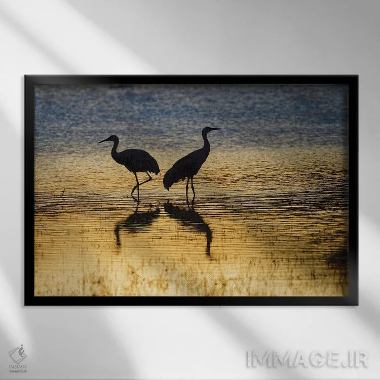 تابلو گروه درناهای سندهیل در غروب، پناهگاه حیات وحش بوسکه دل آپاچی، نیومکزیکو اثر آدام جونز - نمای قابدار مشکی