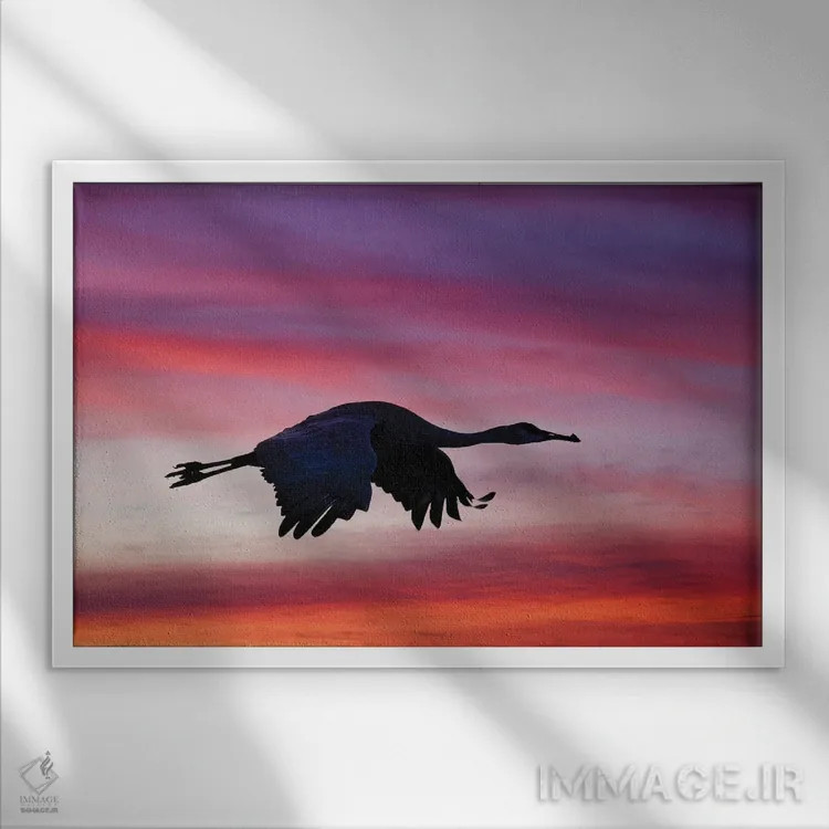 تابلو درنای سندهیل در حال پرواز در غروب، پناهگاه حیات وحش بوسکه دل آپاچی، نیومکزیکو اثر آدام جونز - نمای قابدار سفید