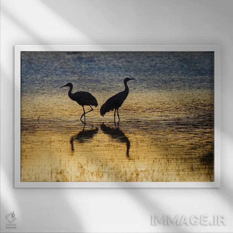 تابلو گروه درناهای سندهیل در غروب، پناهگاه حیات وحش بوسکه دل آپاچی، نیومکزیکو اثر آدام جونز - نمای قابدار سفید