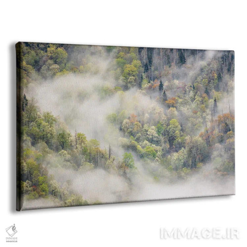 تابلو مه برخاسته از نقش درختان شکوفهدار در بهار، پارک ملی کوههای اسموکی بزرگ، کارولینای شمالی اثر آدام جونز - نمای پرسپکتیو محصول