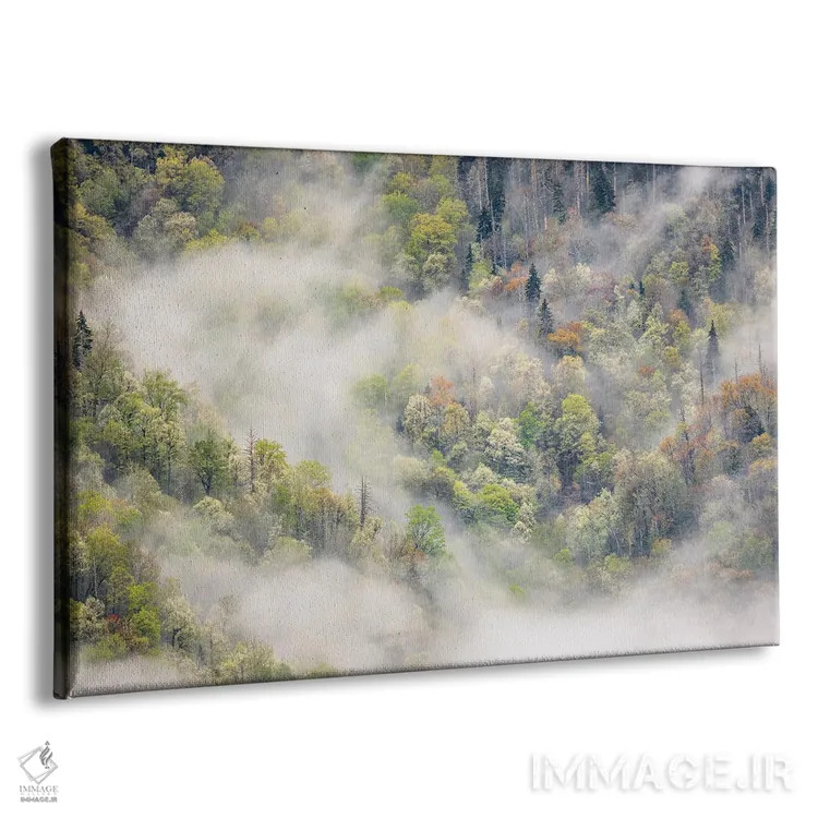 تابلو مه برخاسته از نقش درختان شکوفهدار در بهار، پارک ملی کوههای اسموکی بزرگ، کارولینای شمالی اثر آدام جونز - نمای پرسپکتیو محصول