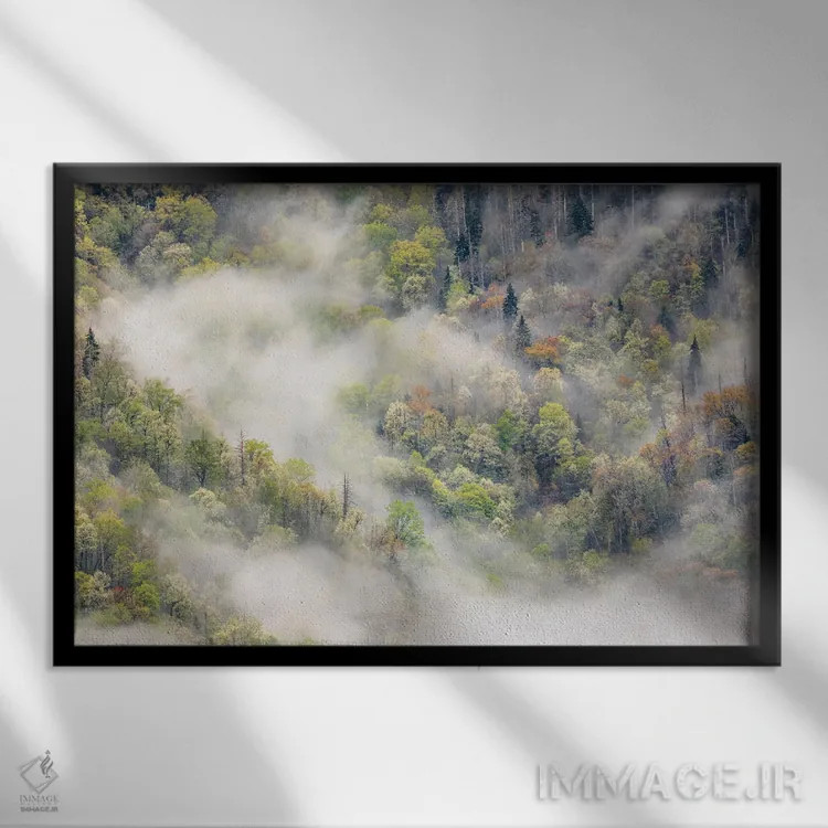تابلو مه برخاسته از نقش درختان شکوفهدار در بهار، پارک ملی کوههای اسموکی بزرگ، کارولینای شمالی اثر آدام جونز - نمای قابدار مشکی