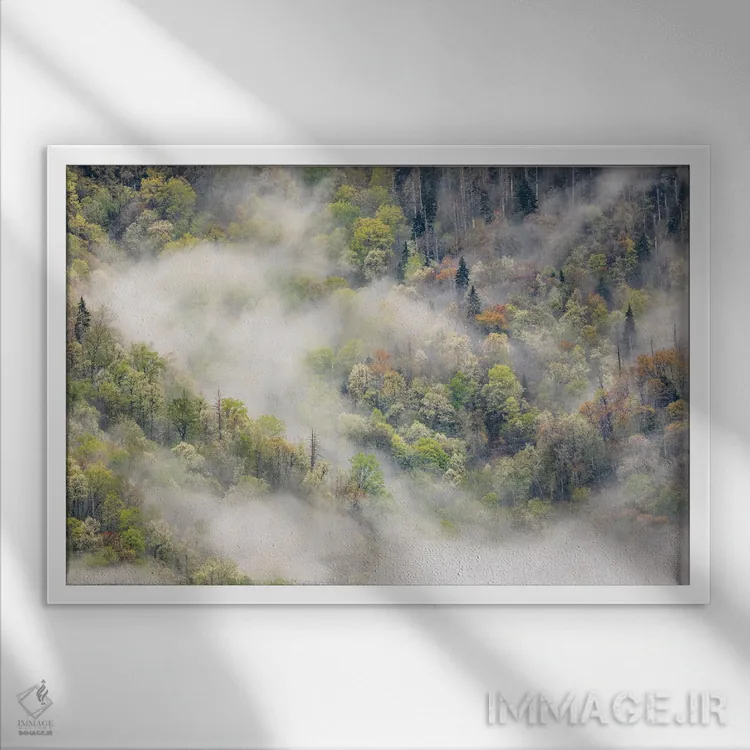 تابلو مه برخاسته از نقش درختان شکوفهدار در بهار، پارک ملی کوههای اسموکی بزرگ، کارولینای شمالی اثر آدام جونز - نمای قابدار سفید