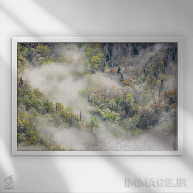 تابلو مه برخاسته از نقش درختان شکوفهدار در بهار، پارک ملی کوههای اسموکی بزرگ، کارولینای شمالی اثر آدام جونز - نمای قابدار سفید