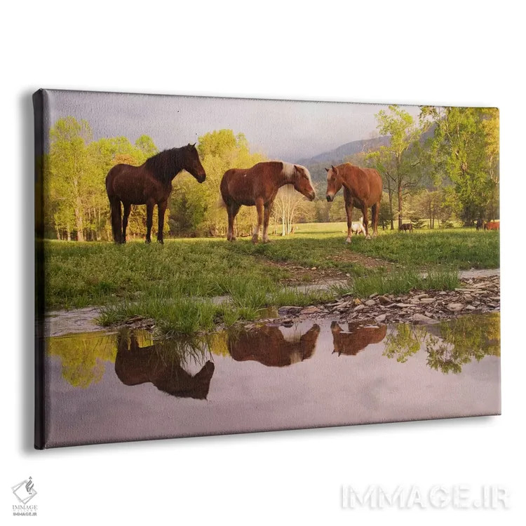 تابلو اسبهای وحشی، کیدز کوو، پارک ملی کوههای اسموکی بزرگ، تنسی، آمریکا اثر آدام جونز - نمای پرسپکتیو محصول