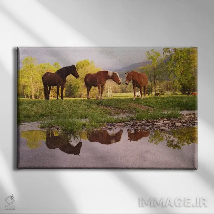 تابلو اسبهای وحشی، کیدز کوو، پارک ملی کوههای اسموکی بزرگ، تنسی، آمریکا اثر آدام جونز - نمای روبهرو روی دیوار
