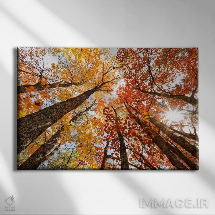 تابلو نمای پاییزی کمزاویه از درختان افرا، شبهجزیرهٔ بالایی، میشیگان، آمریکا اثر آدام جونز - نمای روبهرو روی دیوار