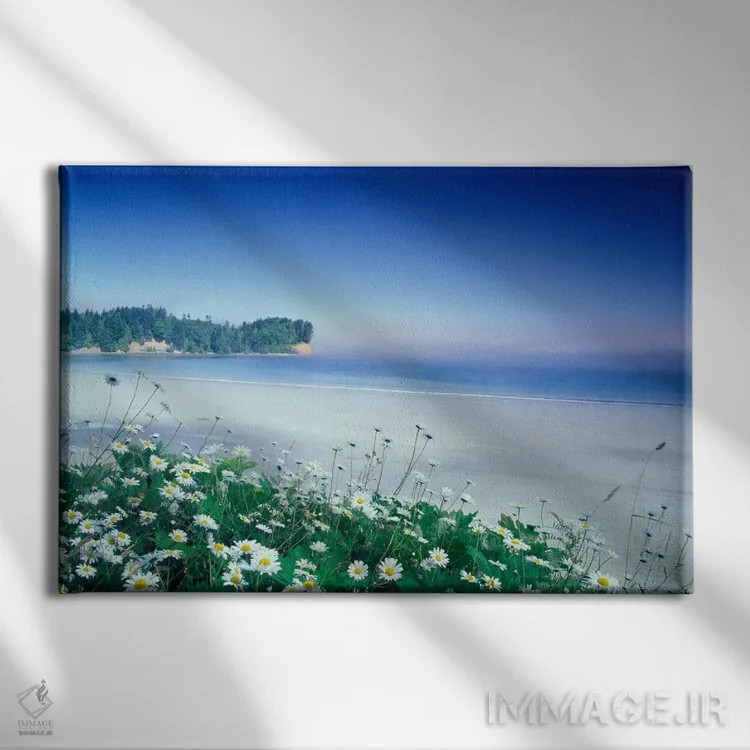 تابلو ساحل هلالی با گلهای مروارید در جلوی تصویر، پورت آنجلس، واشنگتن، آمریکا اثر آدام جونز - نمای روبهرو روی دیوار