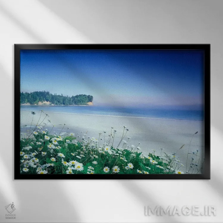 تابلو ساحل هلالی با گلهای مروارید در جلوی تصویر، پورت آنجلس، واشنگتن، آمریکا اثر آدام جونز - نمای قابدار مشکی