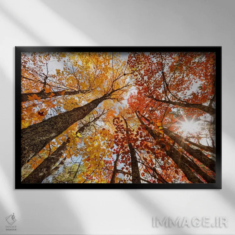 تابلو نمای پاییزی کمزاویه از درختان افرا، شبهجزیرهٔ بالایی، میشیگان، آمریکا اثر آدام جونز - نمای قابدار مشکی