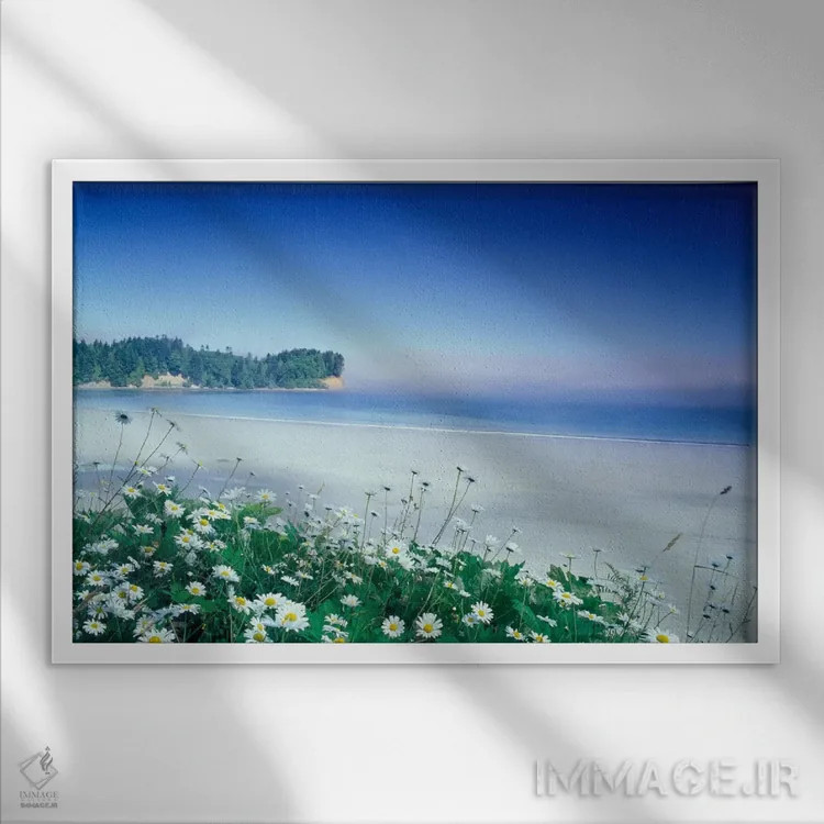 تابلو ساحل هلالی با گلهای مروارید در جلوی تصویر، پورت آنجلس، واشنگتن، آمریکا اثر آدام جونز - نمای قابدار سفید