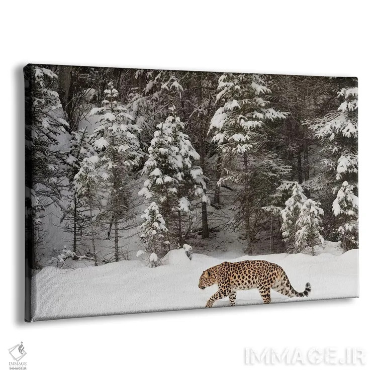 تابلو پلنگ آمور در زمستان (۲) اثر آدام جونز - نمای پرسپکتیو محصول