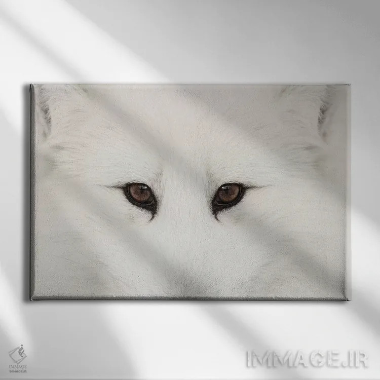 تابلو روباه قطبی در برف، مونتانا (۲) اثر آدام جونز - نمای روبهرو روی دیوار