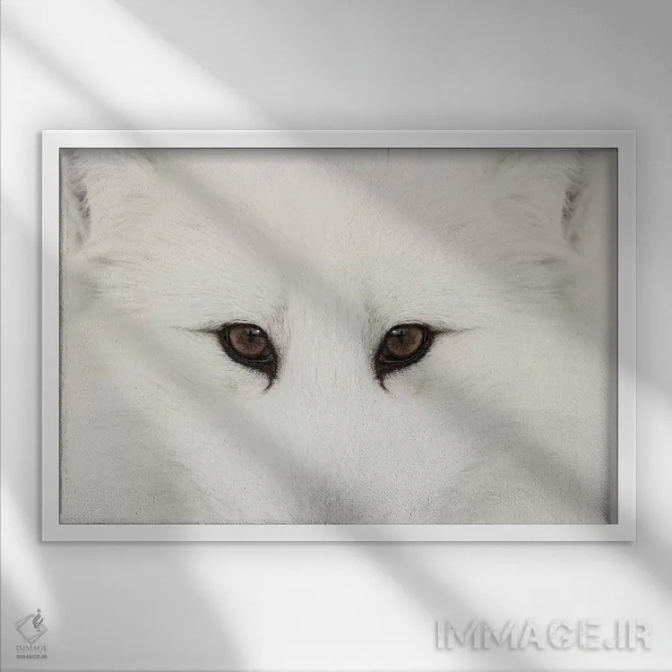 تابلو روباه قطبی در برف، مونتانا (۲) اثر آدام جونز - نمای قابدار سفید