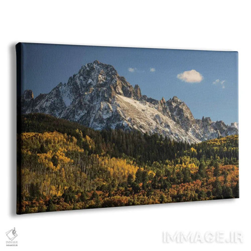 تابلو پاییز، درختان صنوبر و رشتهکوه اسنفِلز، جنگل ملی آنکامپاگره، کلرادو (۲) اثر آدام جونز - نمای پرسپکتیو محصول