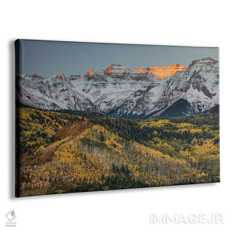 تابلو پاییز، درختان صنوبر و رشتهکوه اسنفِلز، جنگل ملی آنکامپاگره، کلرادو (۱) اثر آدام جونز - نمای پرسپکتیو محصول