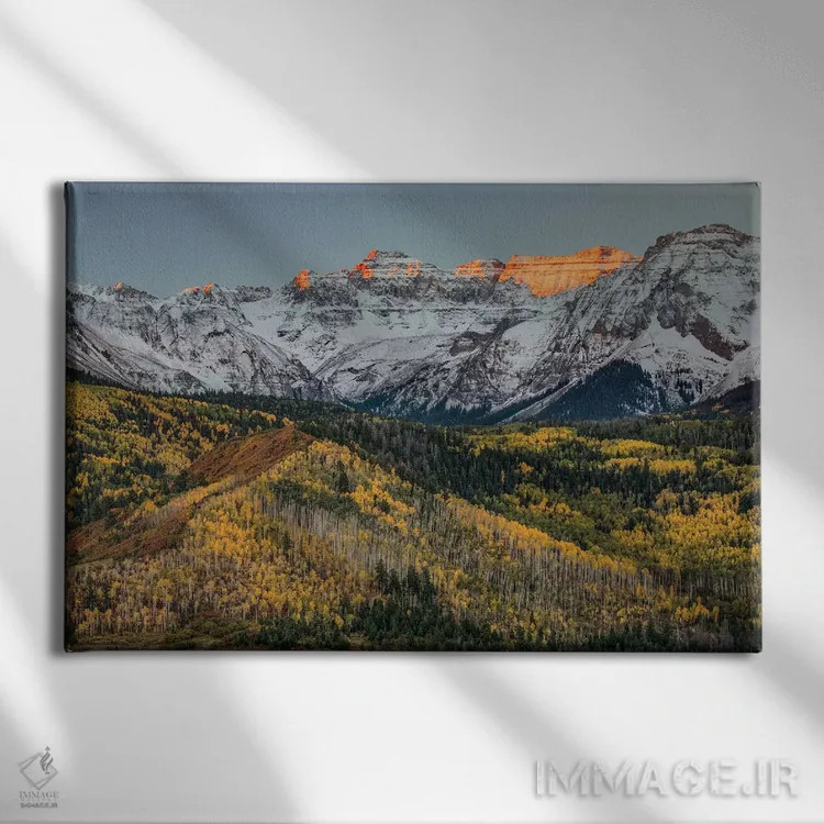 تابلو پاییز، درختان صنوبر و رشتهکوه اسنفِلز، جنگل ملی آنکامپاگره، کلرادو (۱) اثر آدام جونز - نمای روبهرو روی دیوار