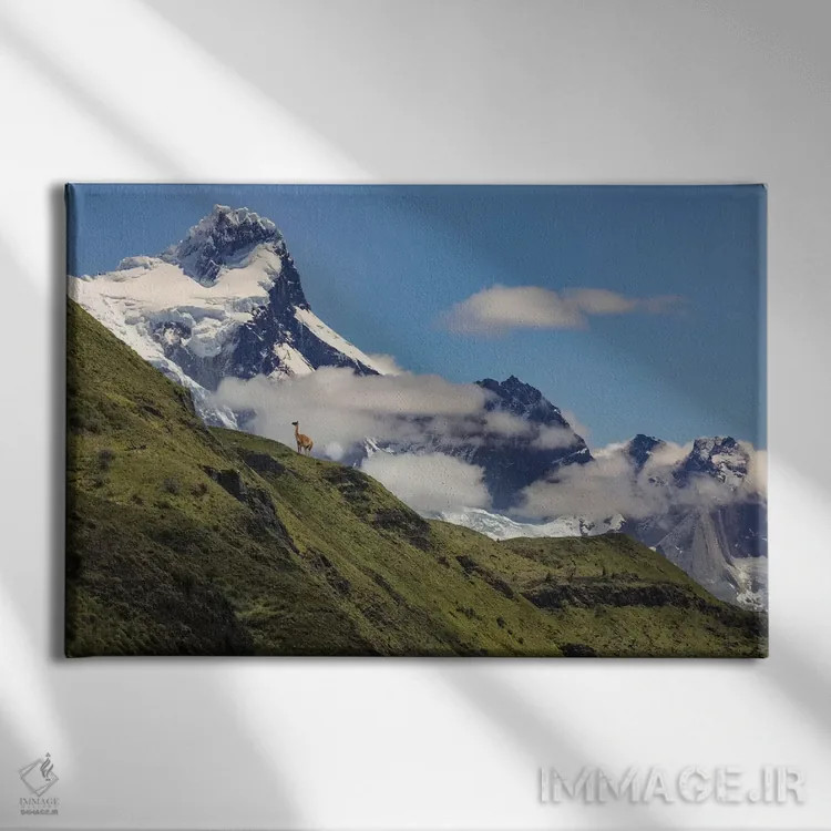 تابلو گواناکو روی شیب تند، پارک ملی تورس دل پائینه، شیلی، پاتاگونیا اثر آدام جونز - نمای روبهرو روی دیوار