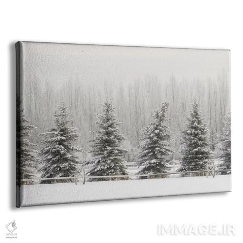 تابلو یخبندان شدید روی درختان، کلیسپل، مونتانا اثر آدام جونز - نمای پرسپکتیو محصول