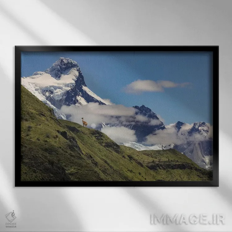 تابلو گواناکو روی شیب تند، پارک ملی تورس دل پائینه، شیلی، پاتاگونیا اثر آدام جونز - نمای قابدار مشکی