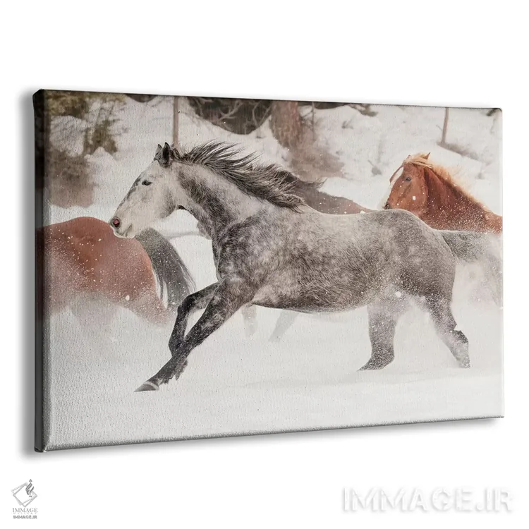 تابلو جمعآوری اسبها در زمستان، کلیسپل، مونتانا اثر آدام جونز - نمای پرسپکتیو محصول