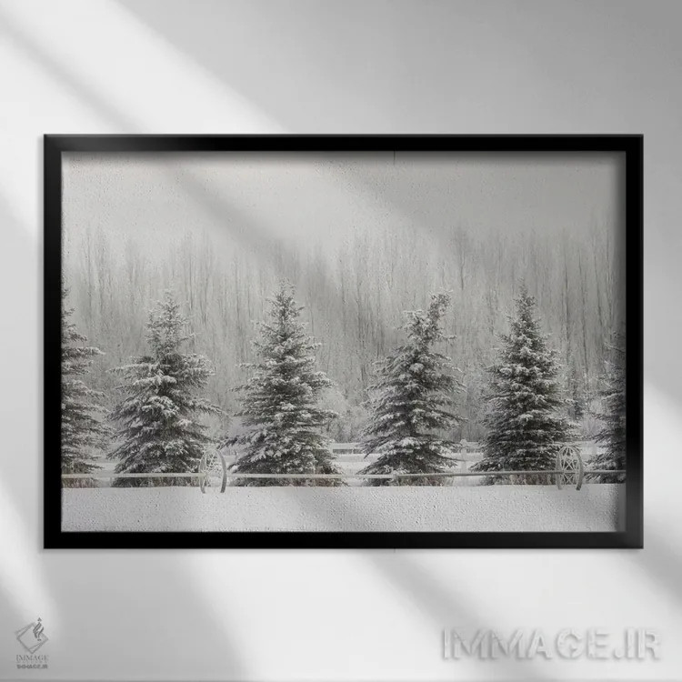تابلو یخبندان شدید روی درختان، کلیسپل، مونتانا اثر آدام جونز - نمای قابدار مشکی