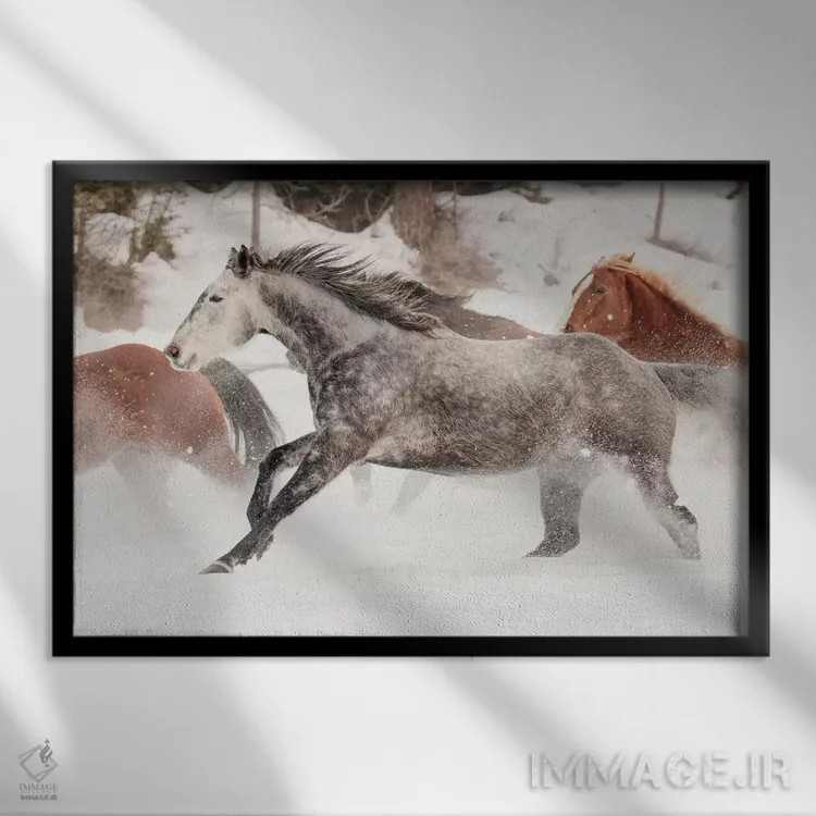 تابلو جمعآوری اسبها در زمستان، کلیسپل، مونتانا اثر آدام جونز - نمای قابدار مشکی