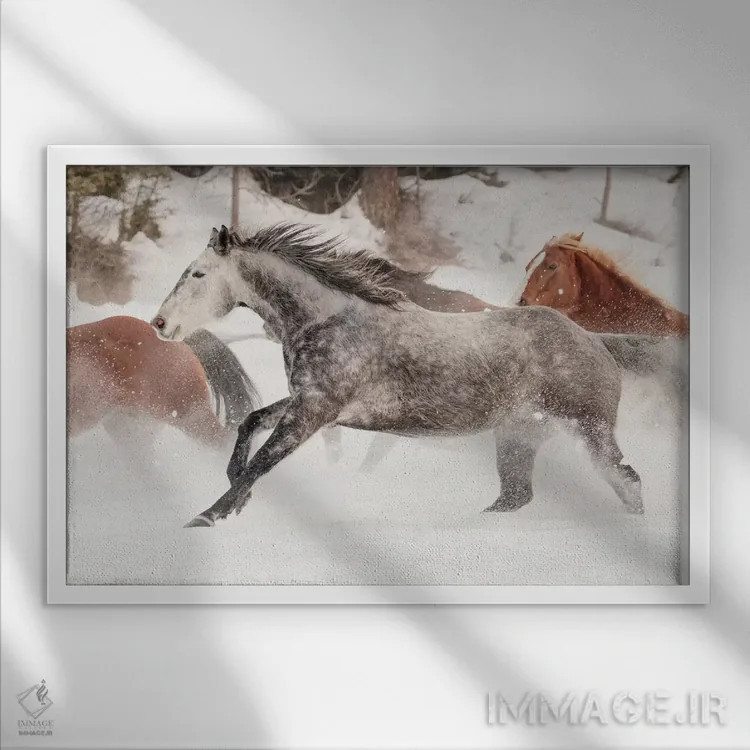 تابلو جمعآوری اسبها در زمستان، کلیسپل، مونتانا اثر آدام جونز - نمای قابدار سفید