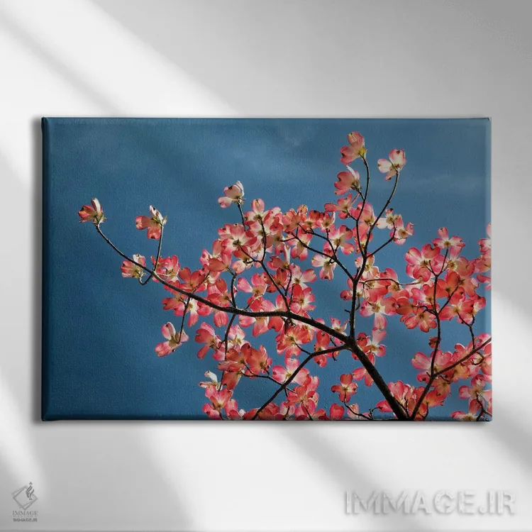 تابلو درخت داگوود صورتی در برابر آسمان آبی، لکسینگتون، کنتاکی اثر آدام جونز - نمای روبهرو روی دیوار