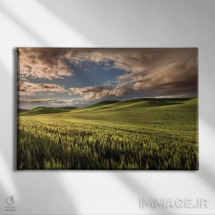 تابلو تپههای گندم در طلوع، منطقه پالوس، ایالت واشنگتن اثر آدام جونز - نمای روبهرو روی دیوار
