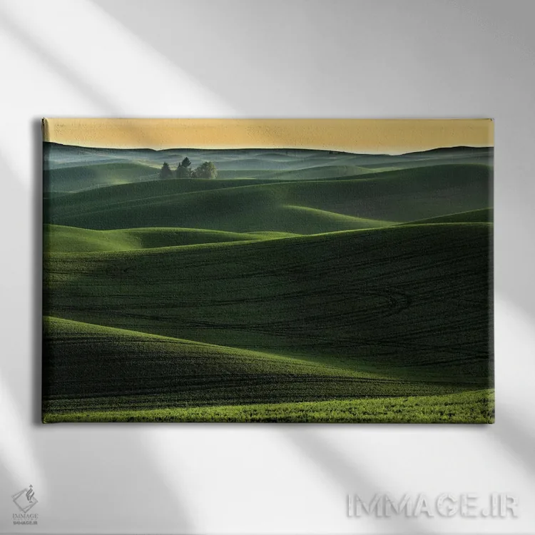 تابلو تپههای پوشیده از گندم در غروب آفتاب، منطقه پالوس، ایالت واشنگتن اثر آدام جونز - نمای روبهرو روی دیوار
