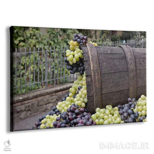 تابلو برداشت انگور (نمای نزدیک ۲)، جشن دلا اووا، ایمپرونتا، استان فلورانس، منطقه توسکانی، ایتالیا اثر آدام جونز - نمای پرسپکتیو محصول