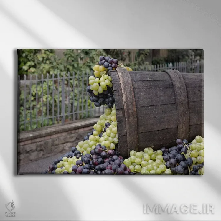 تابلو برداشت انگور (نمای نزدیک ۲)، جشن دلا اووا، ایمپرونتا، استان فلورانس، منطقه توسکانی، ایتالیا اثر آدام جونز - نمای روبهرو روی دیوار