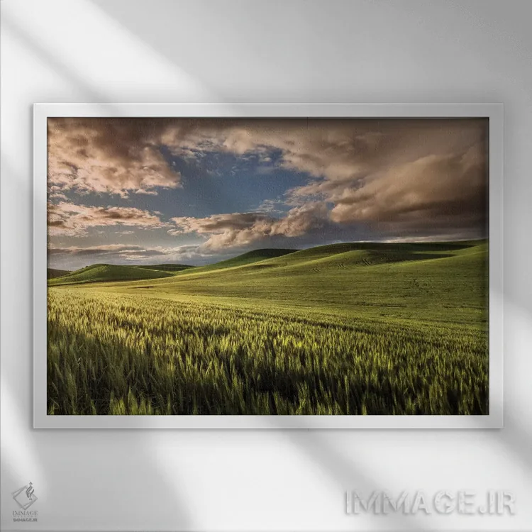 تابلو تپههای گندم در طلوع، منطقه پالوس، ایالت واشنگتن اثر آدام جونز - نمای قابدار سفید