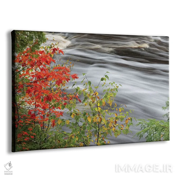 تابلو آبشار تاکوامنون، پارک ایالتی آبشار تاکوامنون، میشیگان اثر آدام جونز - نمای پرسپکتیو محصول