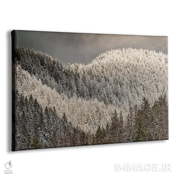 تابلو درختان پوشیده از برف روی کوه اثر آدام جونز - نمای پرسپکتیو محصول