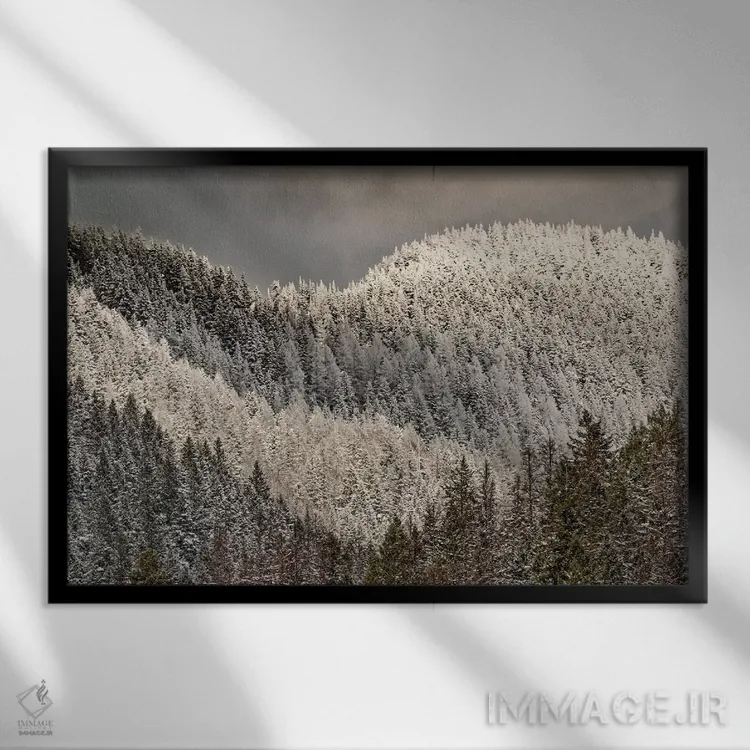 تابلو درختان پوشیده از برف روی کوه اثر آدام جونز - نمای قابدار مشکی