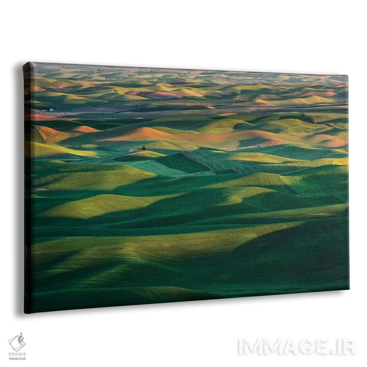 تابلو مزارع مواج گندم، منطقه پالوس، ایالت واشنگتن اثر آدام جونز - نمای پرسپکتیو محصول