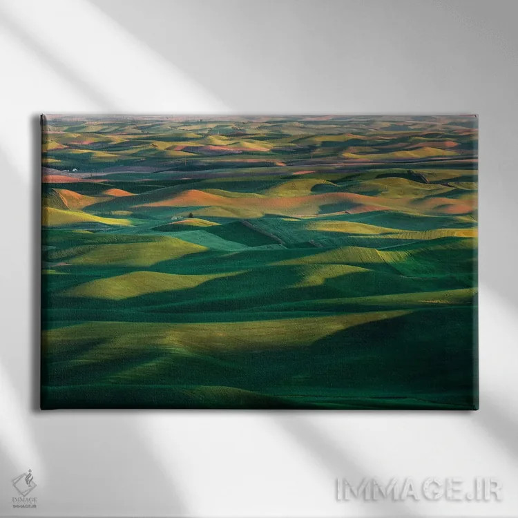 تابلو مزارع مواج گندم، منطقه پالوس، ایالت واشنگتن اثر آدام جونز - نمای روبهرو روی دیوار