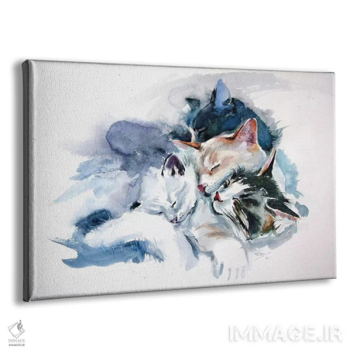 تابلو گربههای خوابیده اثر آنا بریجیتا کوواچ - نمای پرسپکتیو محصول