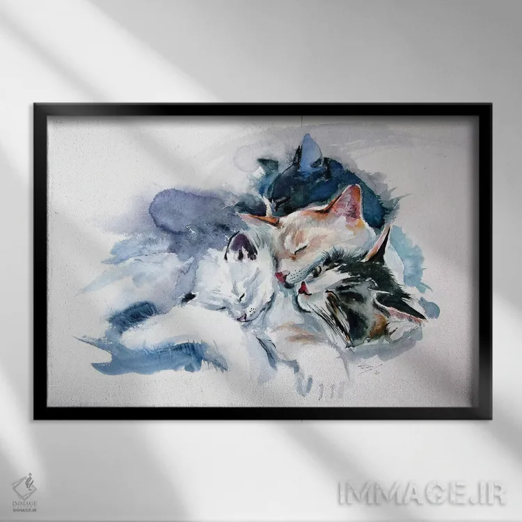 تابلو گربههای خوابیده اثر آنا بریجیتا کوواچ - نمای قابدار مشکی