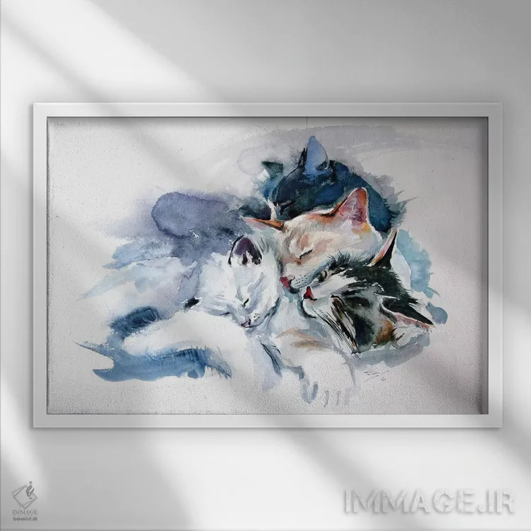 تابلو گربههای خوابیده اثر آنا بریجیتا کوواچ - نمای قابدار سفید