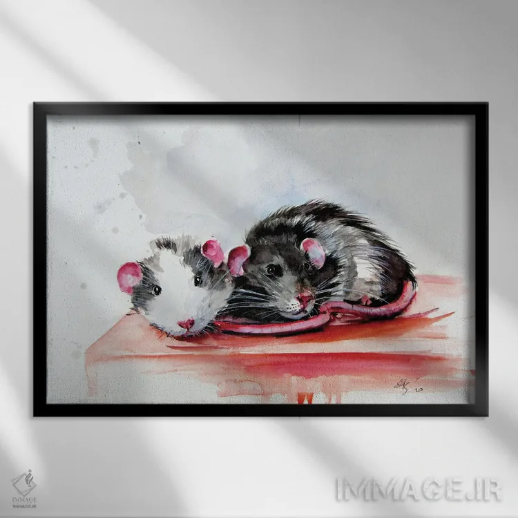 تابلو موشها اثر آنا بریجیتا کوواچ - نمای قابدار مشکی