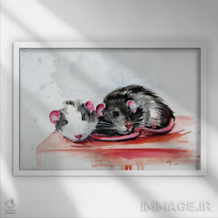 تابلو موشها اثر آنا بریجیتا کوواچ - نمای قابدار سفید