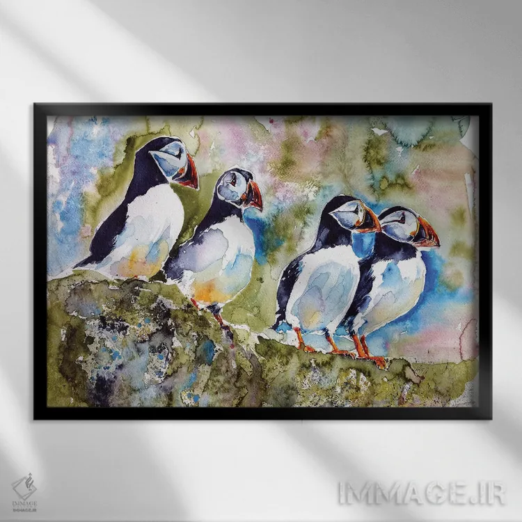 تابلو پافینها روی سنگ اثر آنا بریجیتا کوواچ - نمای قابدار مشکی