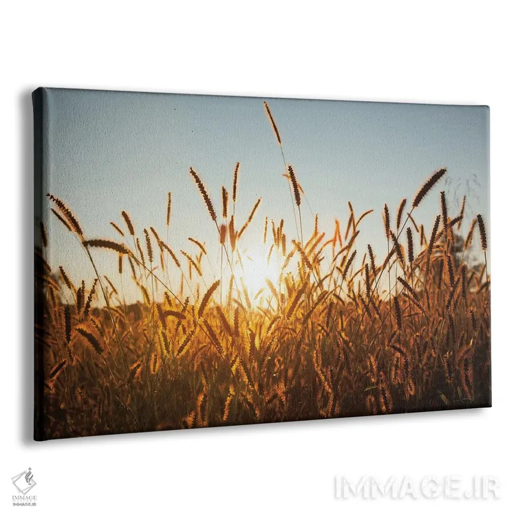 تابلو غلات صبحگاهی اثر الدندا - نمای پرسپکتیو محصول